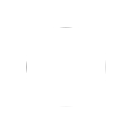 USA Federal System White Logo